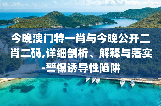今晚澳門特一肖與今晚公開二肖二碼,詳細(xì)剖析、解釋與落實-警惕誘導(dǎo)性陷阱