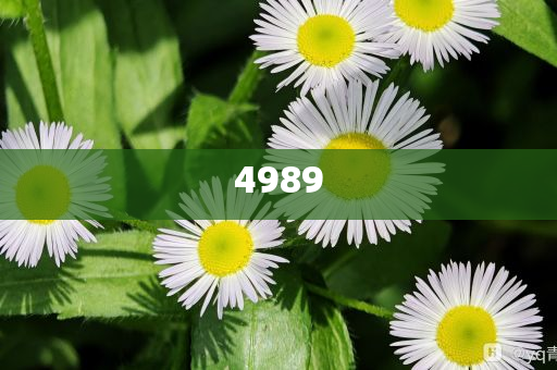 揭開:女生高考462分 超北大錄取分150多前沿剖析、解釋與落實,杜絕虛假的假誘導(dǎo)