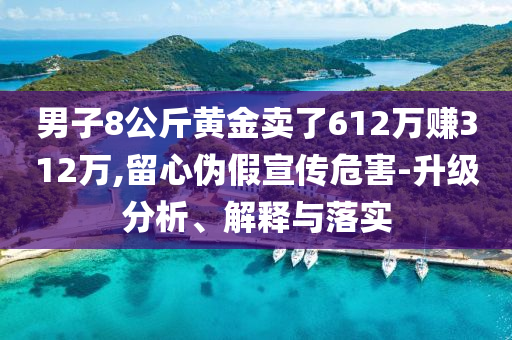 男子8公斤黃金賣了612萬賺312萬,留心偽假宣傳危害-升級分析、解釋與落實