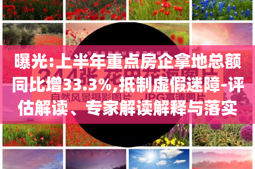 曝光:上半年重點房企拿地總額同比增33.3%,抵制虛假迷障-評估解讀、專家解讀解釋與落實