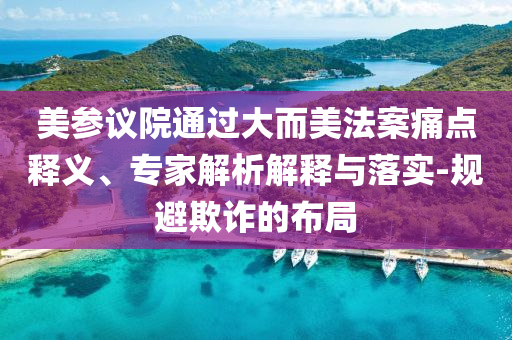 美參議院通過大而美法案痛點釋義、專家解析解釋與落實-規(guī)避欺詐的布局