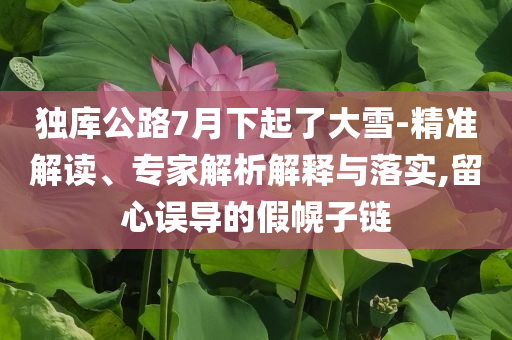 獨(dú)庫(kù)公路7月下起了大雪-精準(zhǔn)解讀、專家解析解釋與落實(shí),留心誤導(dǎo)的假幌子鏈