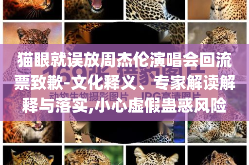 貓眼就誤放周杰倫演唱會回流票致歉-文化釋義、專家解讀解釋與落實(shí),小心虛假蠱惑風(fēng)險