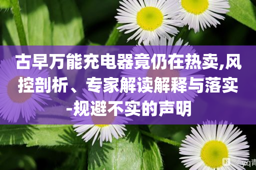 古早萬能充電器竟仍在熱賣,風(fēng)控剖析、專家解讀解釋與落實-規(guī)避不實的聲明