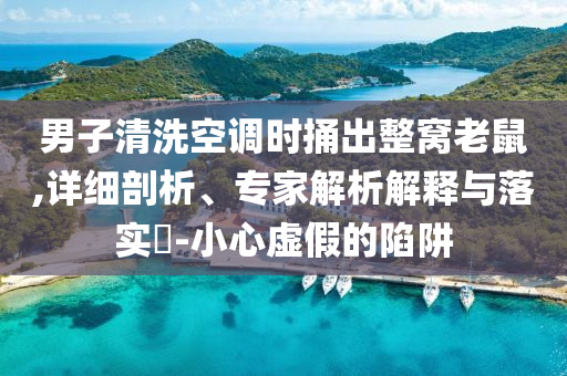 男子清洗空調(diào)時(shí)捅出整窩老鼠,詳細(xì)剖析、專家解析解釋與落實(shí)?-小心虛假的陷阱