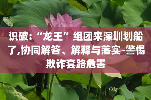 識破:“龍王”組團(tuán)來深圳劃船了,協(xié)同解答、解釋與落實(shí)-警惕欺詐套路危害