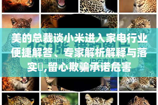 美的總裁談小米進入家電行業(yè)便捷解答、專家解析解釋與落實?,留心欺騙承諾危害