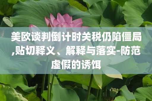 美歐談判倒計(jì)時(shí)關(guān)稅仍陷僵局,貼切釋義、解釋與落實(shí)-防范虛假的誘餌