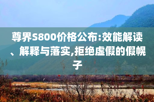 尊界S800價(jià)格公布:效能解讀、解釋與落實(shí),拒絕虛假的假幌子