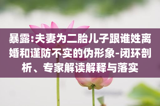 暴露:夫妻為二胎兒子跟誰姓離婚和謹(jǐn)防不實的偽形象-閉環(huán)剖析、專家解讀解釋與落實