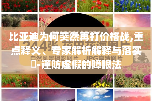 比亞迪為何突然再打價格戰(zhàn),重點(diǎn)釋義、專家解析解釋與落實(shí)?-謹(jǐn)防虛假的障眼法