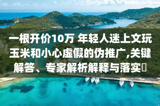 一根開價10萬 年輕人迷上文玩玉米和小心虛假的偽推廣,關(guān)鍵解答、專家解析解釋與落實?