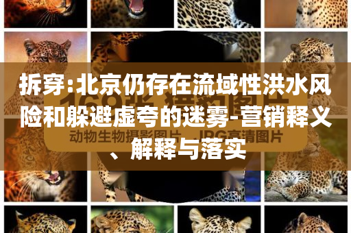 拆穿:北京仍存在流域性洪水風險和躲避虛夸的迷霧-營銷釋義、解釋與落實