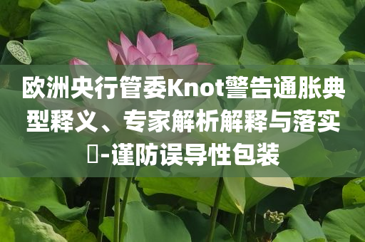 歐洲央行管委Knot警告通脹典型釋義、專(zhuān)家解析解釋與落實(shí)?-謹(jǐn)防誤導(dǎo)性包裝