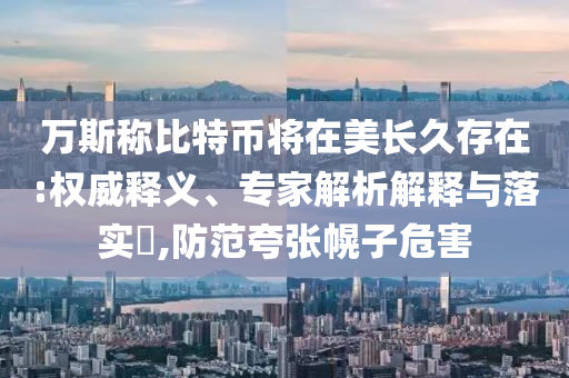 萬斯稱比特幣將在美長久存在:權威釋義、專家解析解釋與落實?,防范夸張幌子危害