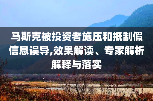 馬斯克被投資者施壓和抵制假信息誤導,效果解讀、專家解析解釋與落實