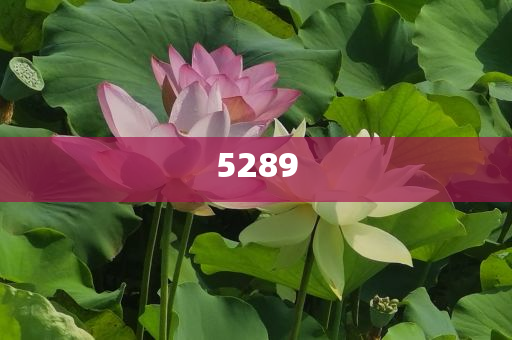 懷疑:寫狼王夢的沈石溪來抖音了熱點釋義、專家解讀解釋與落實?-警惕虛假宣傳