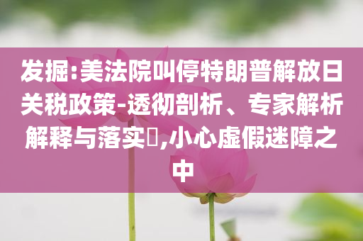 發(fā)掘:美法院叫停特朗普解放日關稅政策-透徹剖析、專家解析解釋與落實?,小心虛假迷障之中