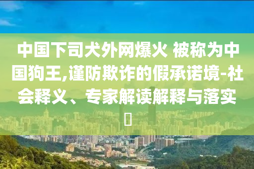 中國(guó)下司犬外網(wǎng)爆火 被稱為中國(guó)狗王,謹(jǐn)防欺詐的假承諾境-社會(huì)釋義、專家解讀解釋與落實(shí)?