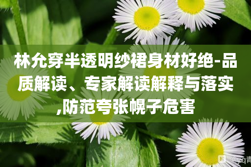 林允穿半透明紗裙身材好絕-品質(zhì)解讀、專家解讀解釋與落實,防范夸張幌子危害