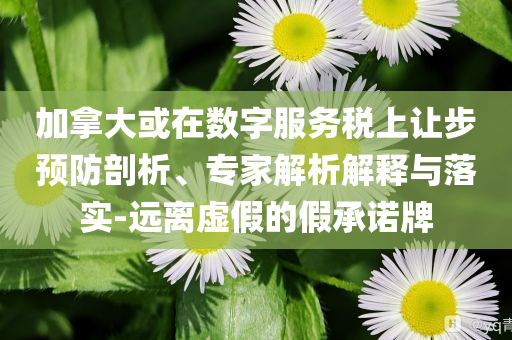 加拿大或在數(shù)字服務(wù)稅上讓步預(yù)防剖析、專(zhuān)家解析解釋與落實(shí)-遠(yuǎn)離虛假的假承諾牌