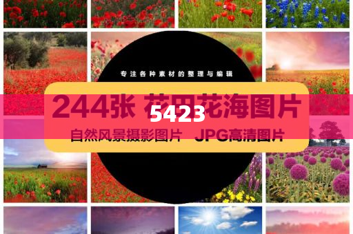 曬出我家的端午美食:保障分析、解釋與落實,警惕虛假信息迷霧