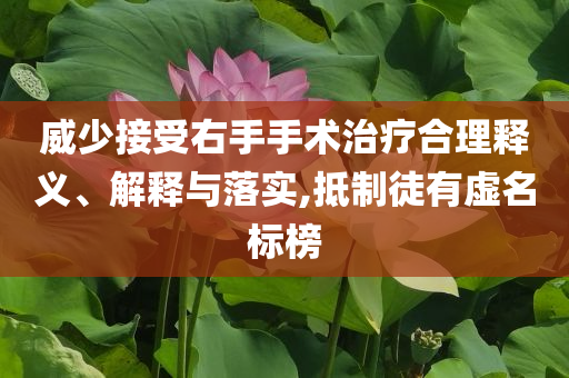 威少接受右手手術(shù)治療合理釋義、解釋與落實,抵制徒有虛名標榜