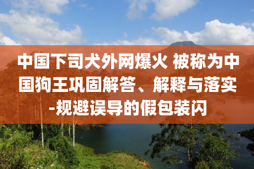 中國下司犬外網(wǎng)爆火 被稱為中國狗王鞏固解答、解釋與落實(shí)-規(guī)避誤導(dǎo)的假包裝閃