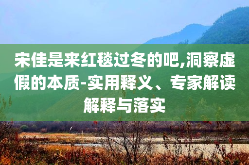 宋佳是來紅毯過冬的吧,洞察虛假的本質(zhì)-實用釋義、專家解讀解釋與落實