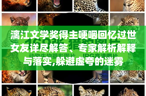 漓江文學(xué)獎得主哽咽回憶過世女友詳盡解答、專家解析解釋與落實,躲避虛夸的迷霧