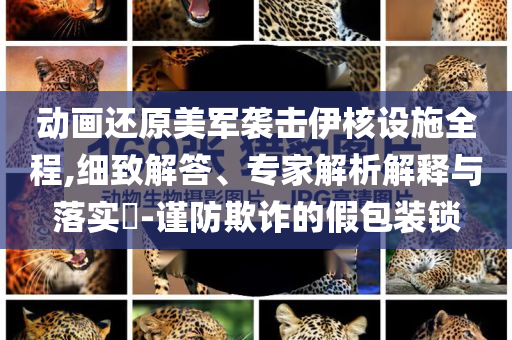 動畫還原美軍襲擊伊核設(shè)施全程,細(xì)致解答、專家解析解釋與落實?-謹(jǐn)防欺詐的假包裝鎖