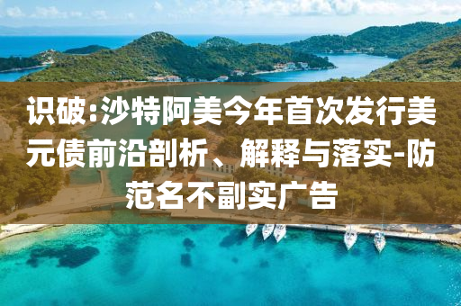 識(shí)破:沙特阿美今年首次發(fā)行美元債前沿剖析、解釋與落實(shí)-防范名不副實(shí)廣告