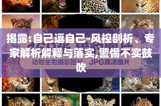 揭露:自己逗自己-風(fēng)控剖析、專家解析解釋與落實,警惕不實鼓吹