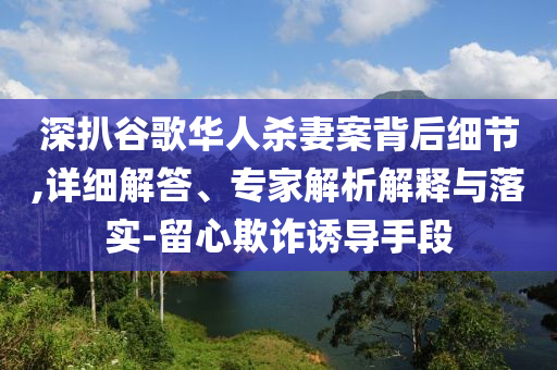 深扒谷歌華人殺妻案背后細(xì)節(jié),詳細(xì)解答、專(zhuān)家解析解釋與落實(shí)-留心欺詐誘導(dǎo)手段