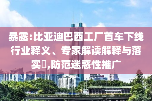 暴露:比亞迪巴西工廠首車(chē)下線行業(yè)釋義、專家解讀解釋與落實(shí)?,防范迷惑性推廣
