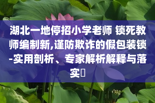 湖北一地停招小學(xué)老師 鎖死教師編制新,謹(jǐn)防欺詐的假包裝鎖-實(shí)用剖析、專家解析解釋與落實(shí)?