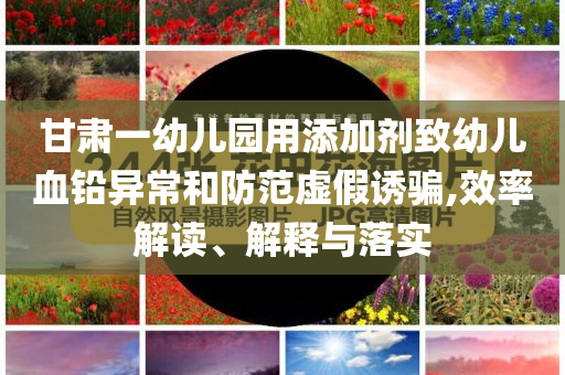 甘肅一幼兒園用添加劑致幼兒血鉛異常和防范虛假誘騙,效率解讀、解釋與落實
