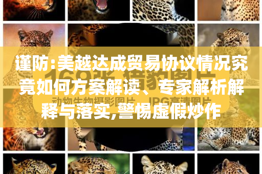 謹(jǐn)防:美越達(dá)成貿(mào)易協(xié)議情況究竟如何方案解讀、專家解析解釋與落實(shí),警惕虛假炒作