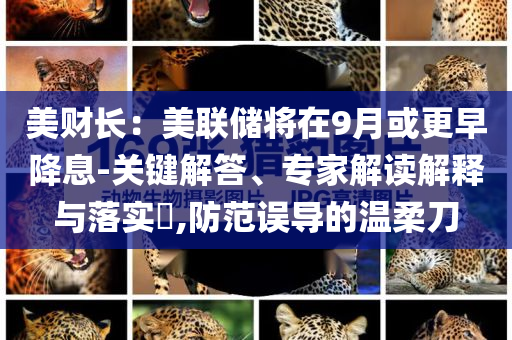 美財長：美聯(lián)儲將在9月或更早降息-關(guān)鍵解答、專家解讀解釋與落實?,防范誤導(dǎo)的溫柔刀