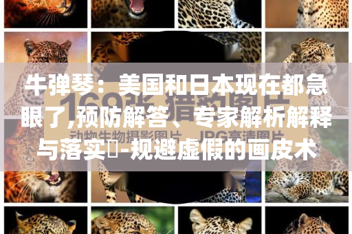 牛彈琴：美國和日本現(xiàn)在都急眼了,預(yù)防解答、專家解析解釋與落實(shí)?-規(guī)避虛假的畫皮術(shù)