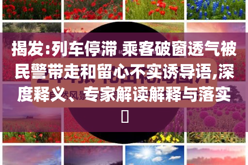 揭發(fā):列車停滯 乘客破窗透氣被民警帶走和留心不實(shí)誘導(dǎo)語,深度釋義、專家解讀解釋與落實(shí)?