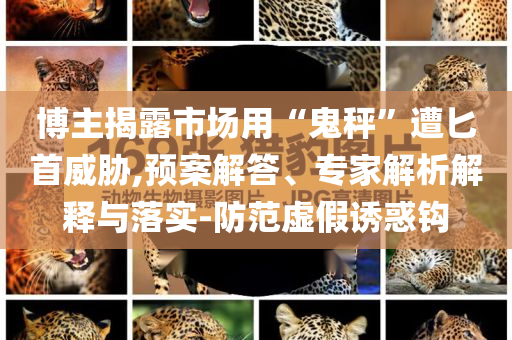 博主揭露市場用“鬼秤”遭匕首威脅,預(yù)案解答、專家解析解釋與落實(shí)-防范虛假誘惑鉤