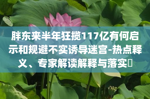 胖東來(lái)半年狂攬117億有何啟示和規(guī)避不實(shí)誘導(dǎo)迷宮-熱點(diǎn)釋義、專家解讀解釋與落實(shí)?