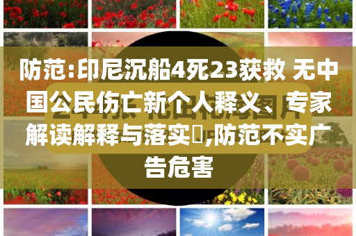 防范:印尼沉船4死23獲救 無中國公民傷亡新個人釋義、專家解讀解釋與落實?,防范不實廣告危害
