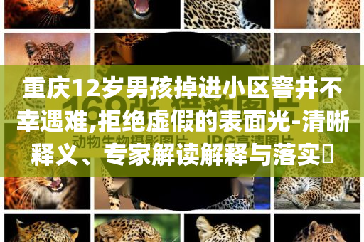 重慶12歲男孩掉進小區(qū)窨井不幸遇難,拒絕虛假的表面光-清晰釋義、專家解讀解釋與落實?