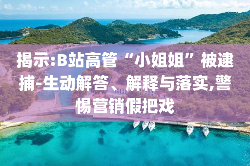 揭示:B站高管“小姐姐”被逮捕-生動(dòng)解答、解釋與落實(shí),警惕營銷假把戲