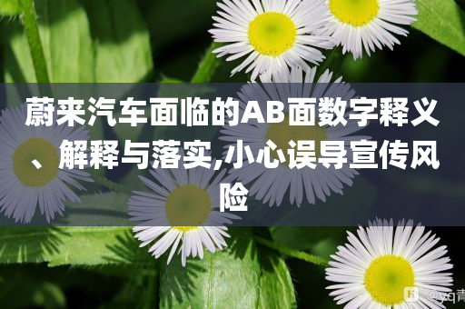 蔚來汽車面臨的AB面數(shù)字釋義、解釋與落實(shí),小心誤導(dǎo)宣傳風(fēng)險