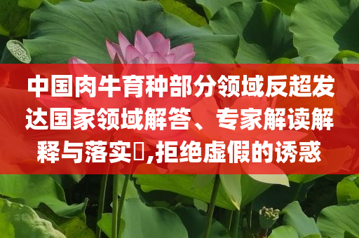 中國肉牛育種部分領(lǐng)域反超發(fā)達(dá)國家領(lǐng)域解答、專家解讀解釋與落實(shí)?,拒絕虛假的誘惑