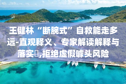王健林“斷腕式”自救能走多遠(yuǎn)-直觀釋義、專家解讀解釋與落實?,拒絕虛假噱頭風(fēng)險