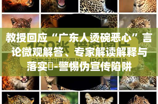 教授回應(yīng)“廣東人燙碗惡心”言論微觀解答、專家解讀解釋與落實?-警惕偽宣傳陷阱